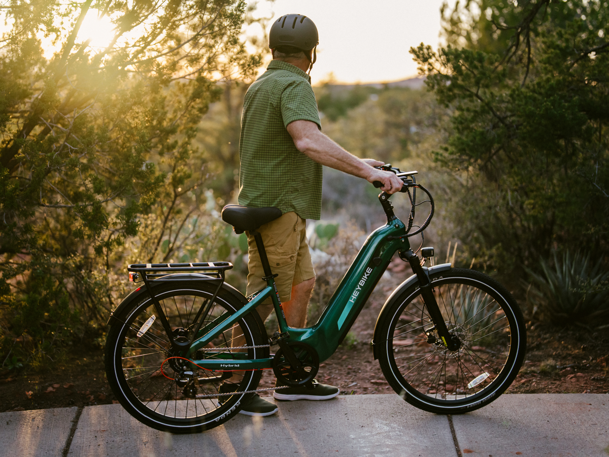 Heybike Hybrid - view 14