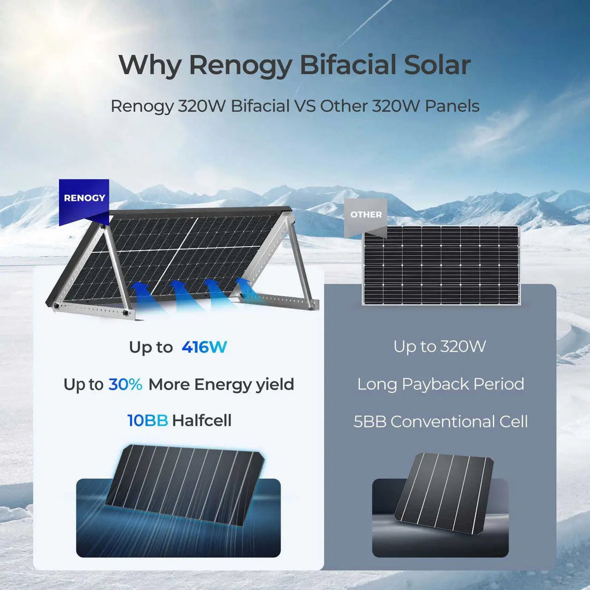Renogy 320W Bifacial Monocrystalline Solar Panel - view 2