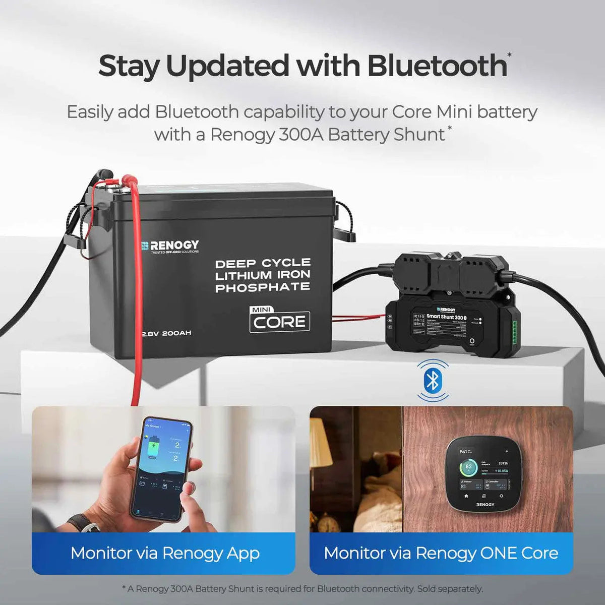 Renogy Core Mini 12V 200Ah LiFePO4 Battery - view 8