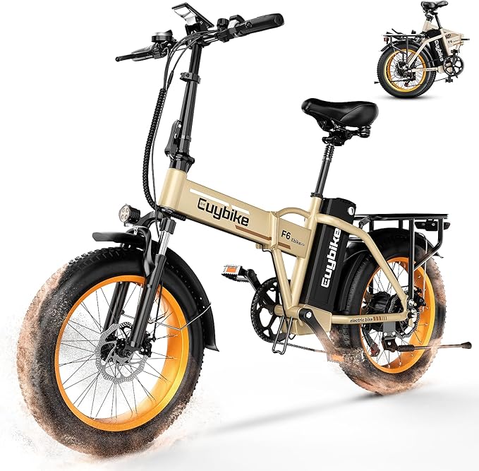 1000W Folding Electric Bike, 48V 20AH Large Removable Battery E Bike