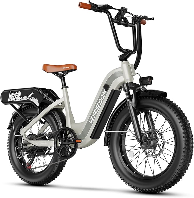 1500W Peak Motor Electric Bike for Adults