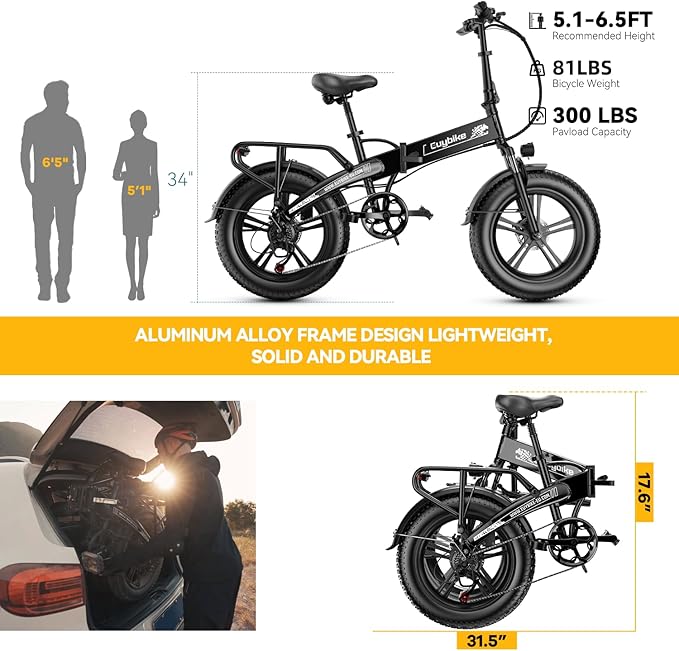 1000W Folding Electric Bike, 48V 20AH Large Removable Battery E Bike