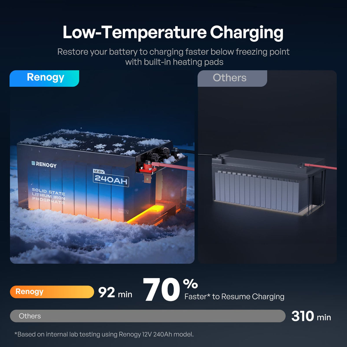 Renogy Pro S1 12V LiFePO4 Battery - view 7