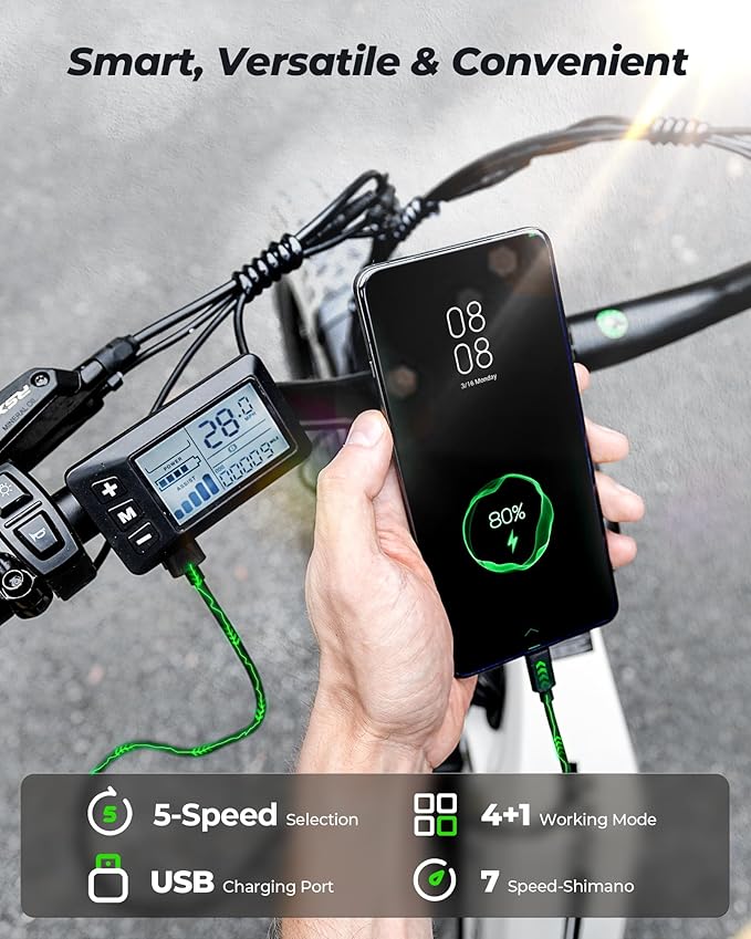 isinwheel U8 Plus Electric Bike for Adults 1500W