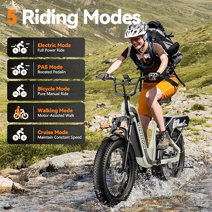 1500W Peak Motor Electric Bike for Adults