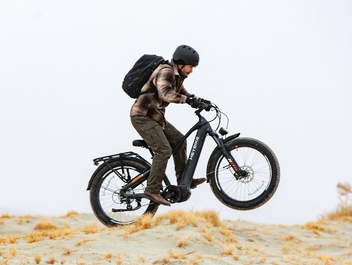 Heybike ALPHA - view 11