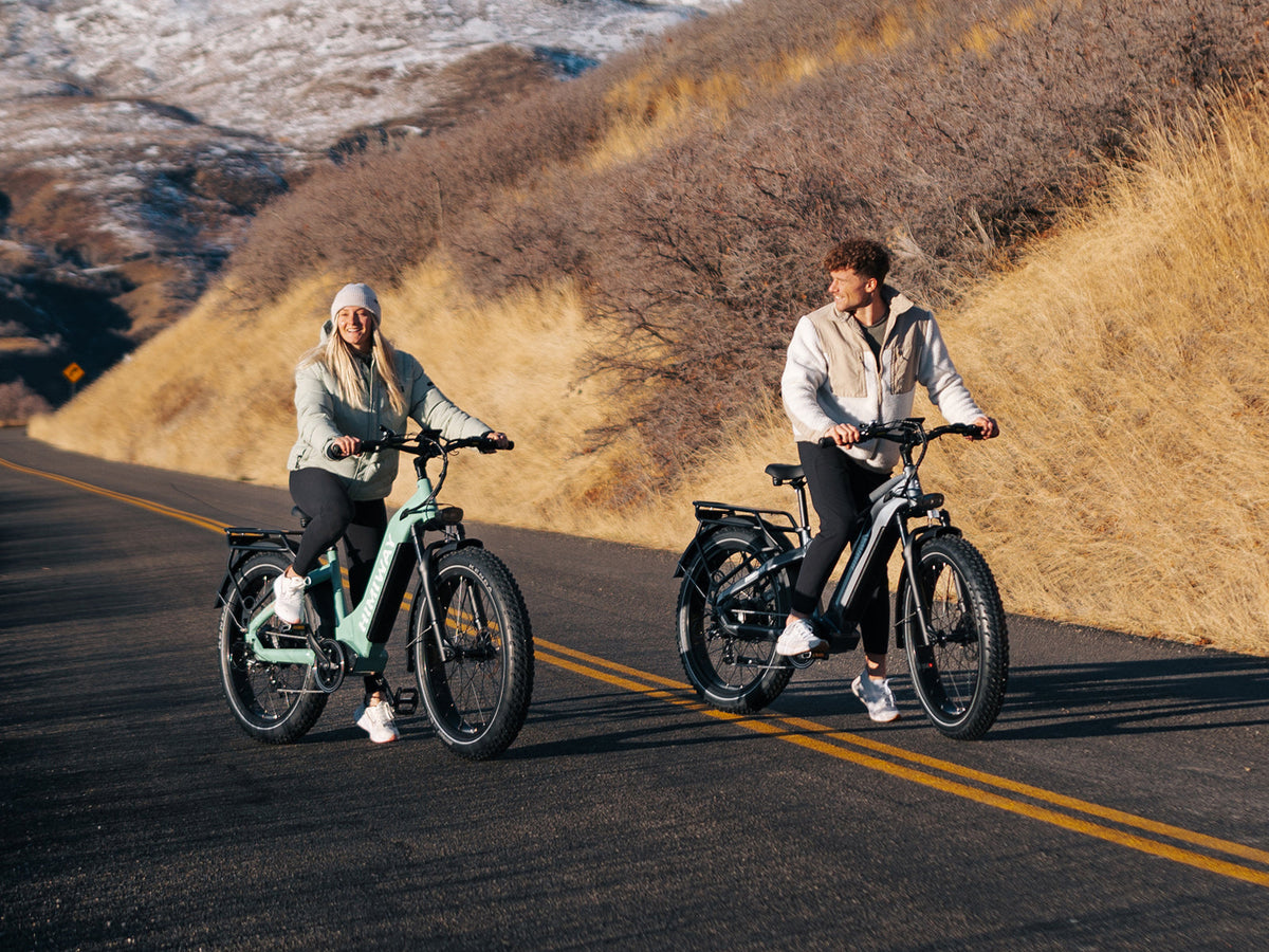 Himiway D5 All-Terrain Fat Tire E-Bike - view 8