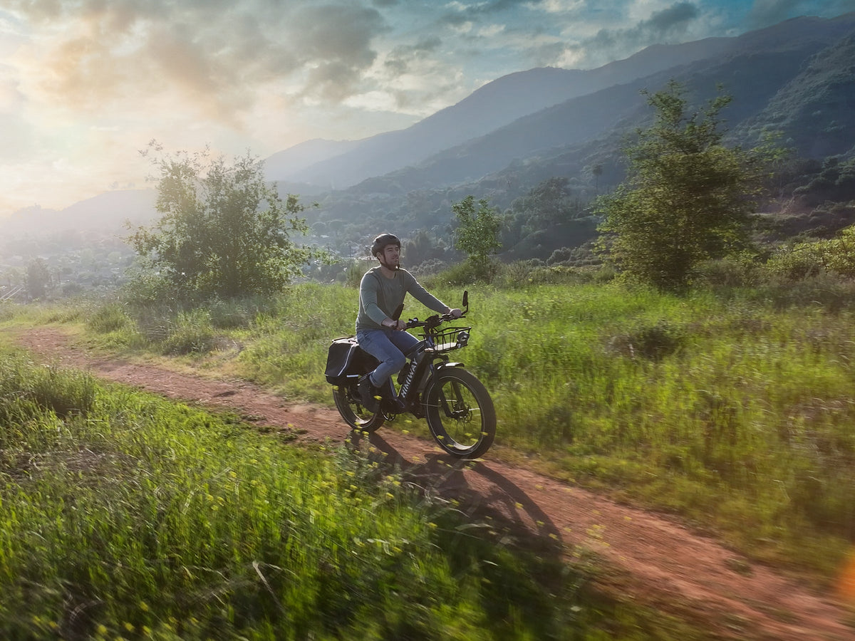 Himiway D5 All-Terrain Fat Tire E-Bike - view 5