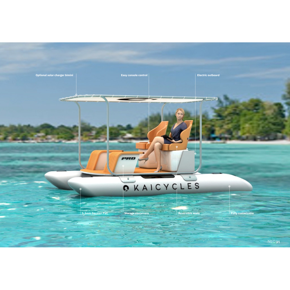 PRO Inflatable e-Boat (Made in EU)