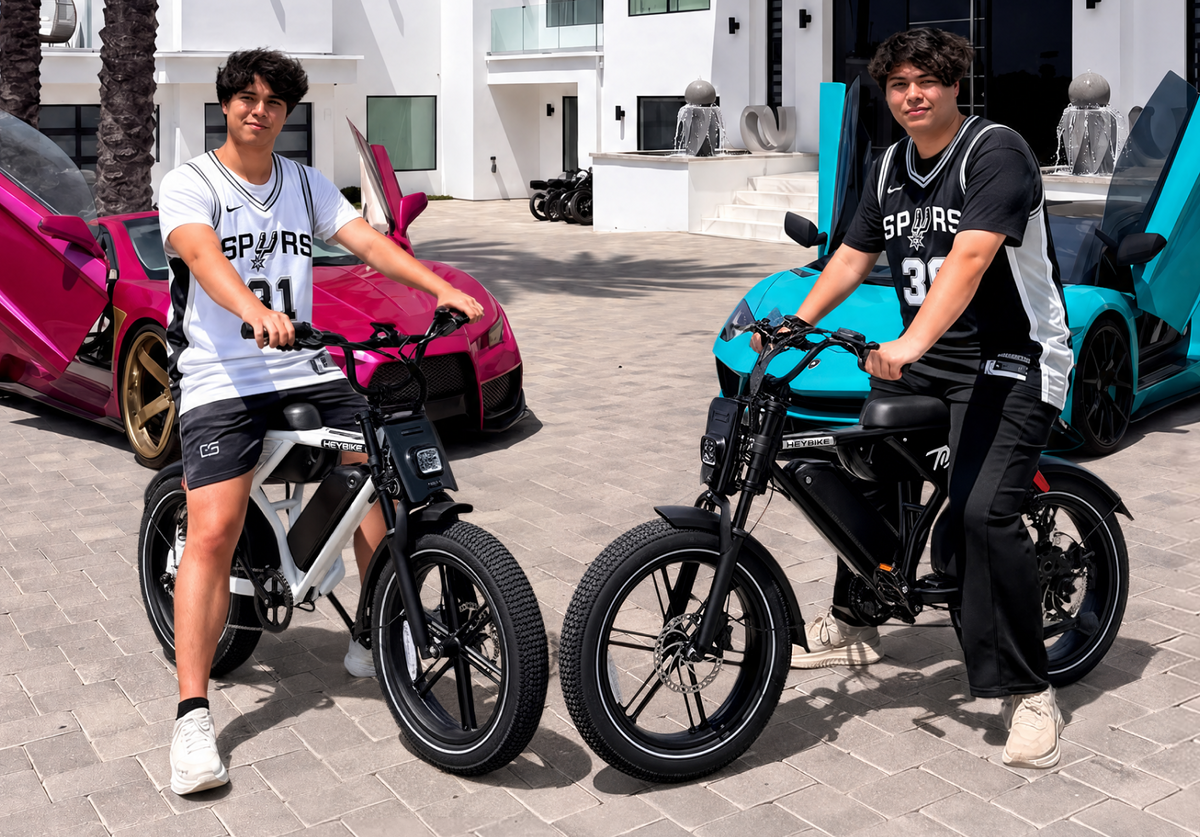 Heybike Titan - view 14
