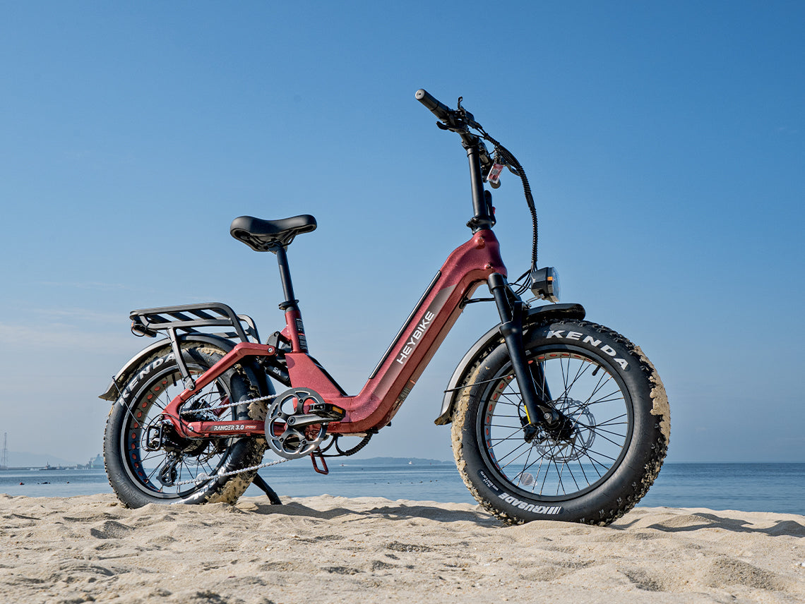 Heybike Ranger 3.0 Pro - view 14