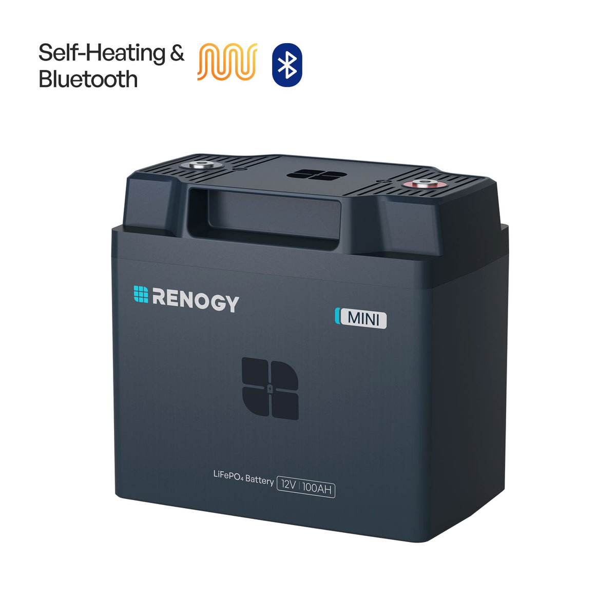 Renogy Reserve Mini Smart 12V 100Ah LiFePO4 Battery - view 2