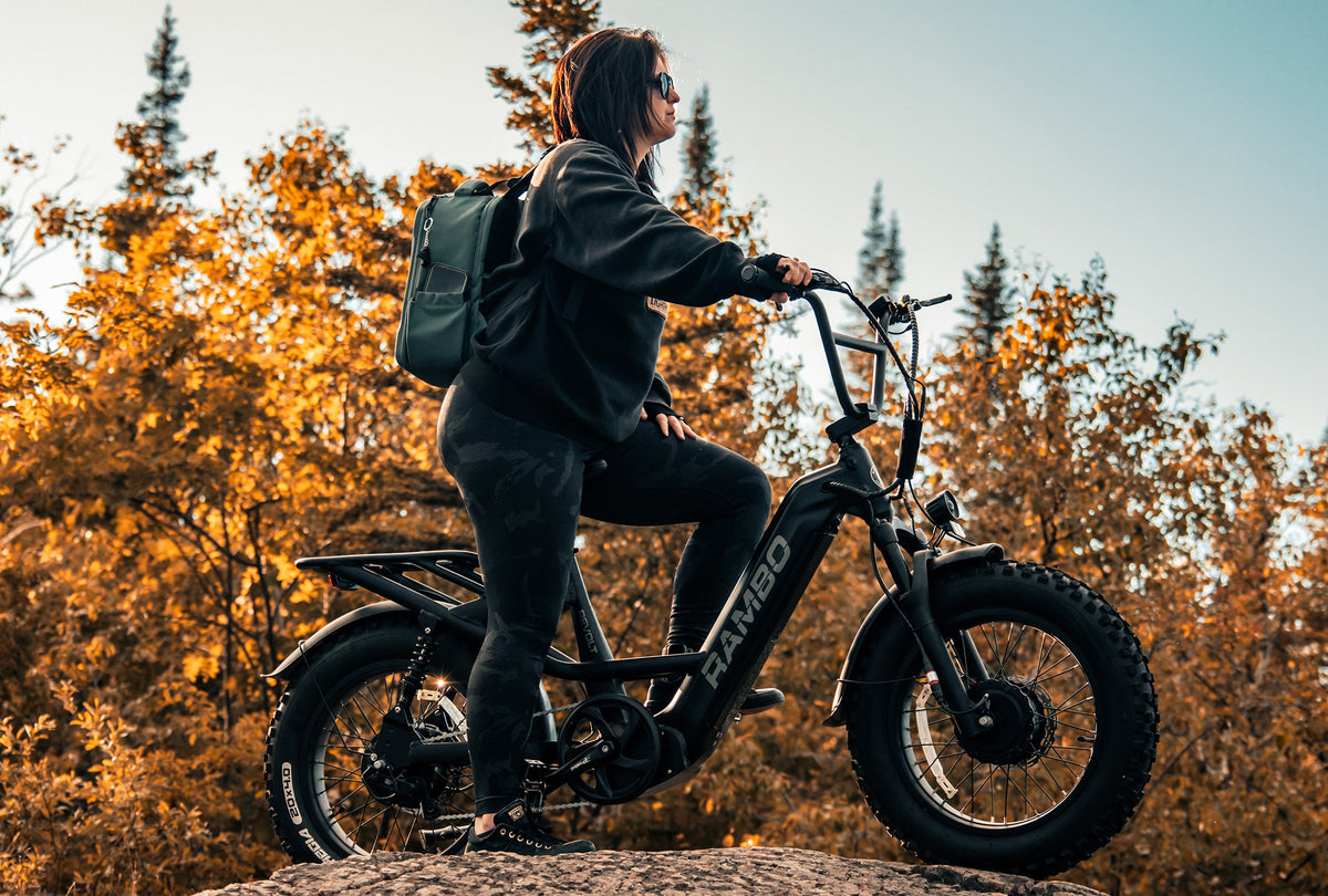 Rambo Revolt AWD Step-Thru Electric Bike | Dual 500W Bafang Motors, 140Nm, Full Suspension
