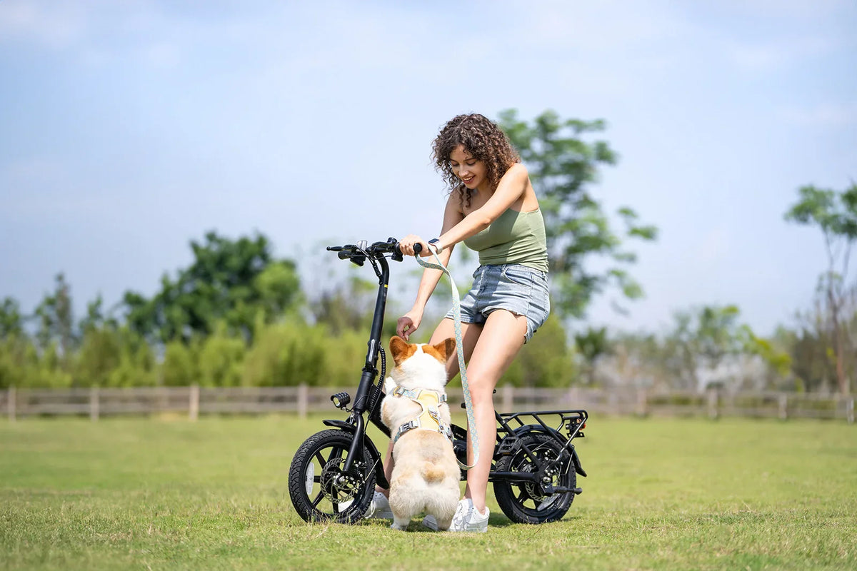 DYU C3 Folding Electric Bike | 14" Wheels, 36V Brushless Motor, Aluminum Frame, CE Certified