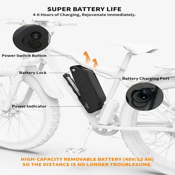 48V 750W Fat Tire Electric Bike | Removable 12.5Ah Battery, 20" x 4.0 Tires, Aluminum Frame