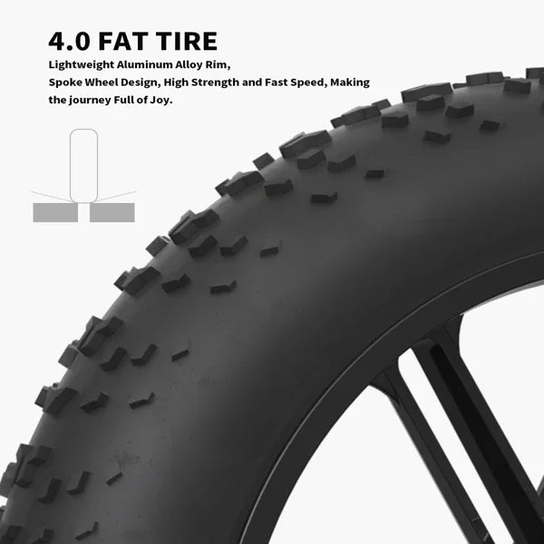 48V 750W Fat Tire Electric Bike | Removable 12.5Ah Battery, 20" x 4.0 Tires, Aluminum Frame