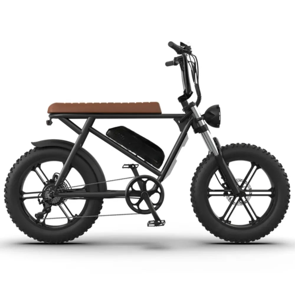 48V 750W Fat Tire Electric Bike | Removable 12.5Ah Battery, 20" x 4.0 Tires, Aluminum Frame