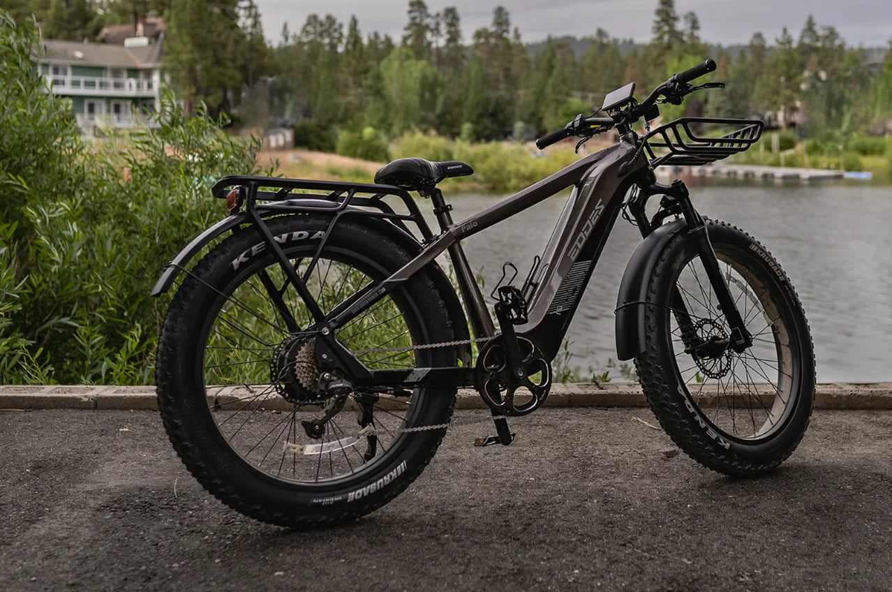 High-Quality eBike with 52V 750W Motor - 17AH Long Range