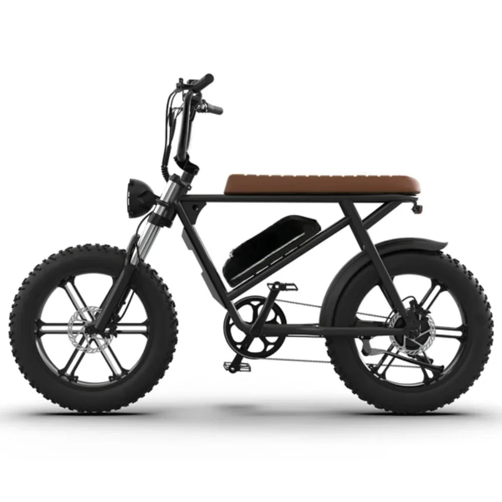 48V 750W Fat Tire Electric Bike | Removable 12.5Ah Battery, 20" x 4.0 Tires, Aluminum Frame