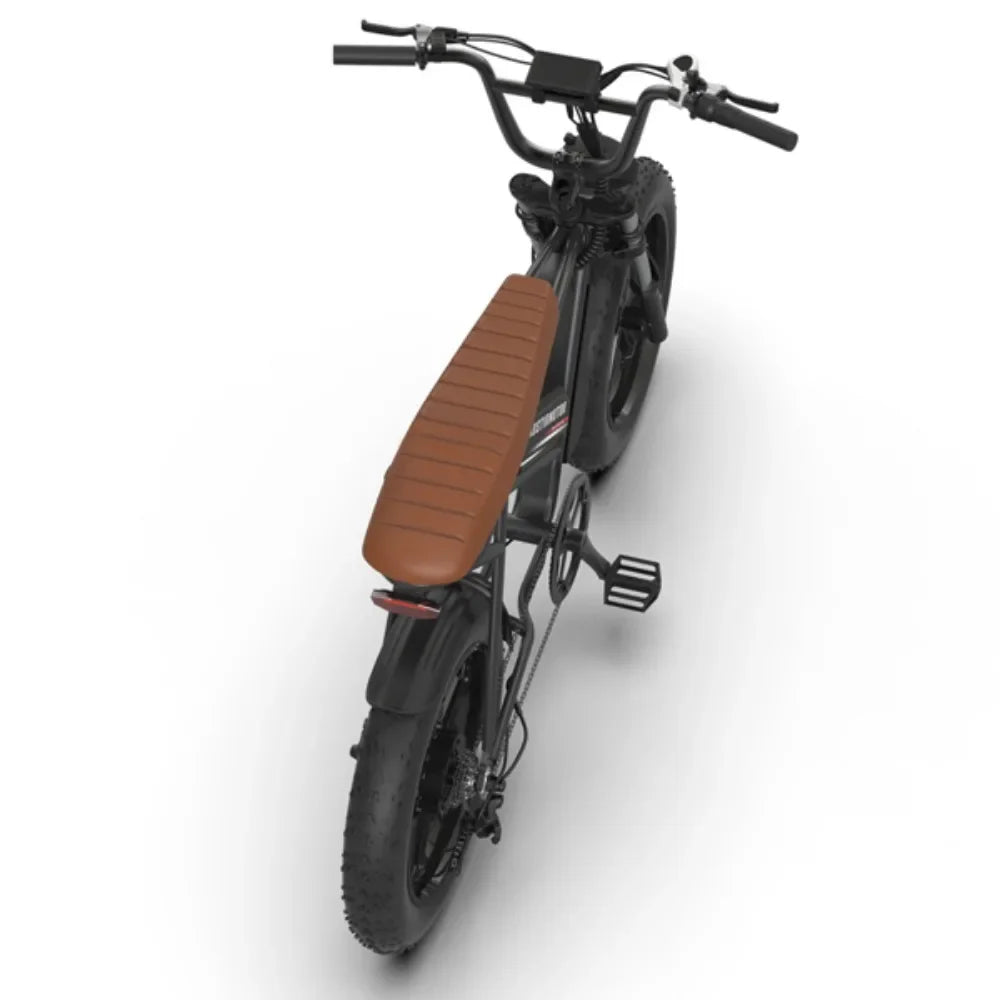48V 750W Fat Tire Electric Bike | Removable 12.5Ah Battery, 20" x 4.0 Tires, Aluminum Frame