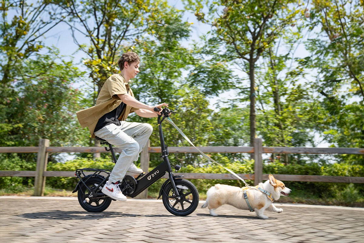 DYU C3 Folding Electric Bike | 14" Wheels, 36V Brushless Motor, Aluminum Frame, CE Certified