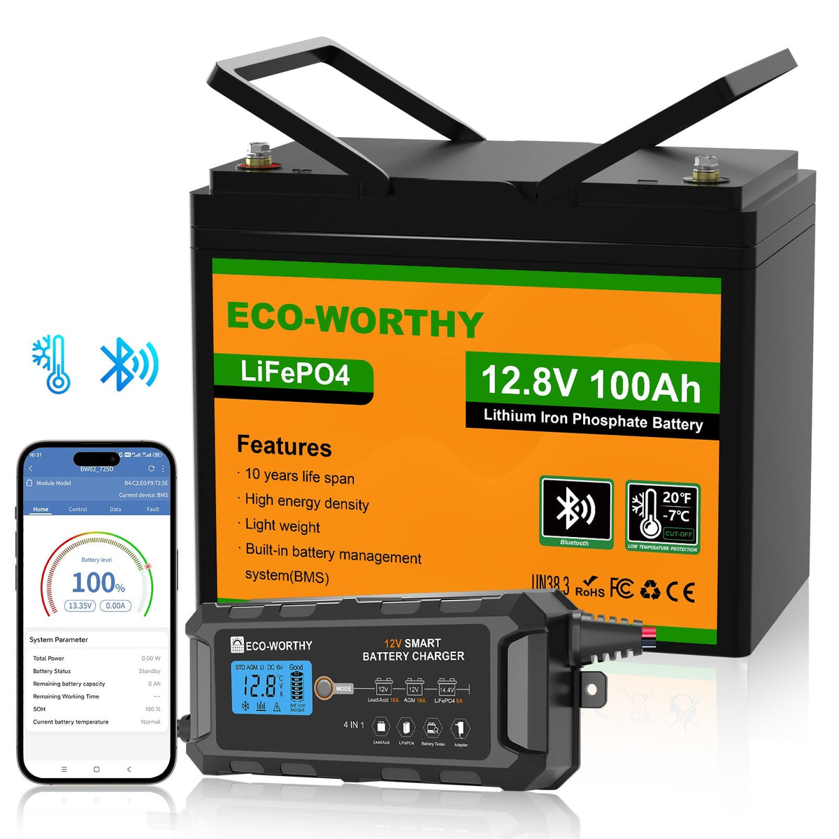 ECO-WORTHY 12V 100Ah LiFePO4 Battery with Bluetooth - view 12