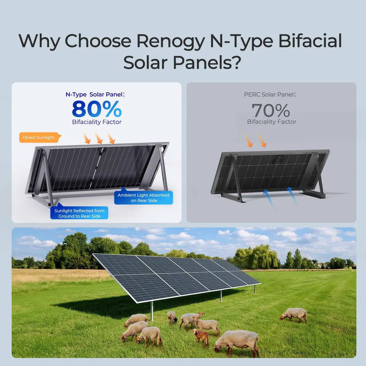 Renogy 590W N-Type Bifacial Solar Panel - view 3