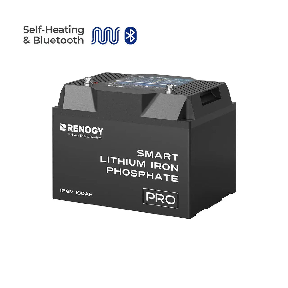 Renogy PRO 12V 100Ah Smart LiFePO4 Battery - view 1