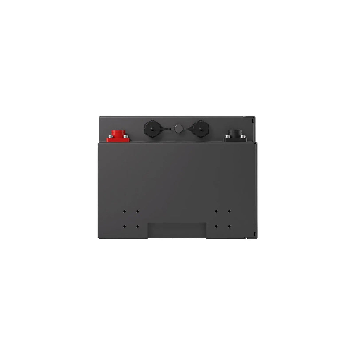 Renogy Pro S1 12V LiFePO4 Battery - view 4