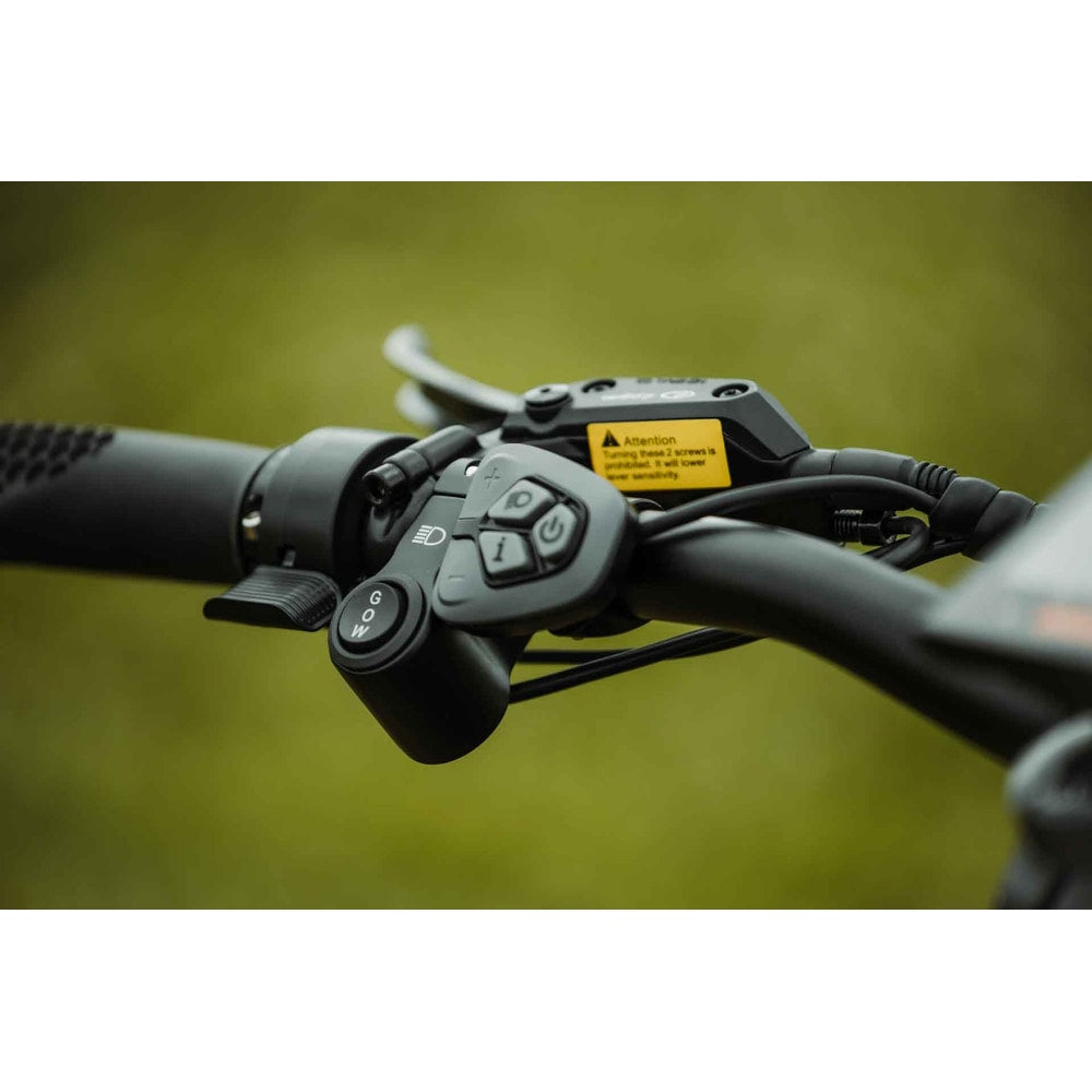 Rebel 2.0 SS (Single Speed)