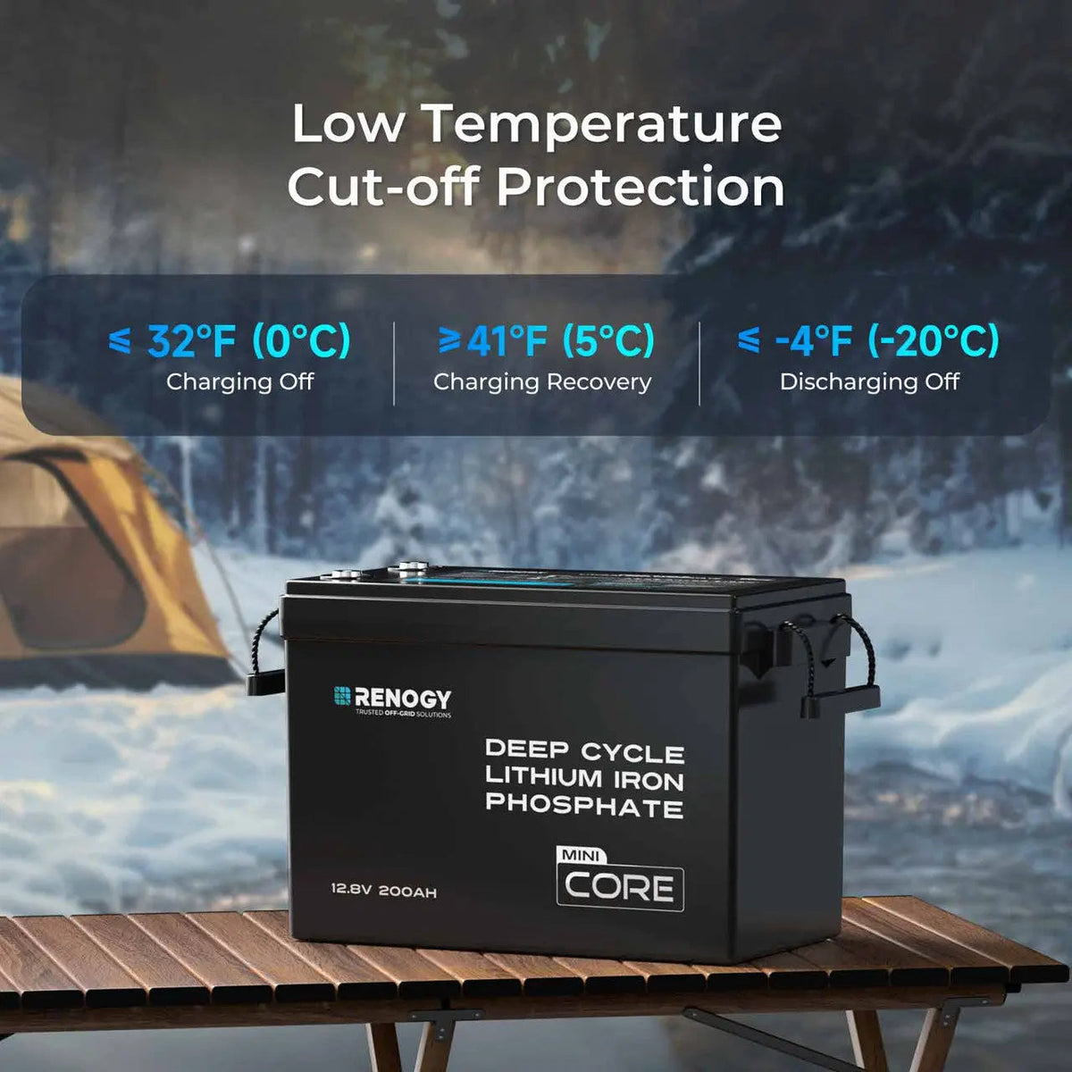 Renogy Core Mini 12V 200Ah LiFePO4 Battery - view 4