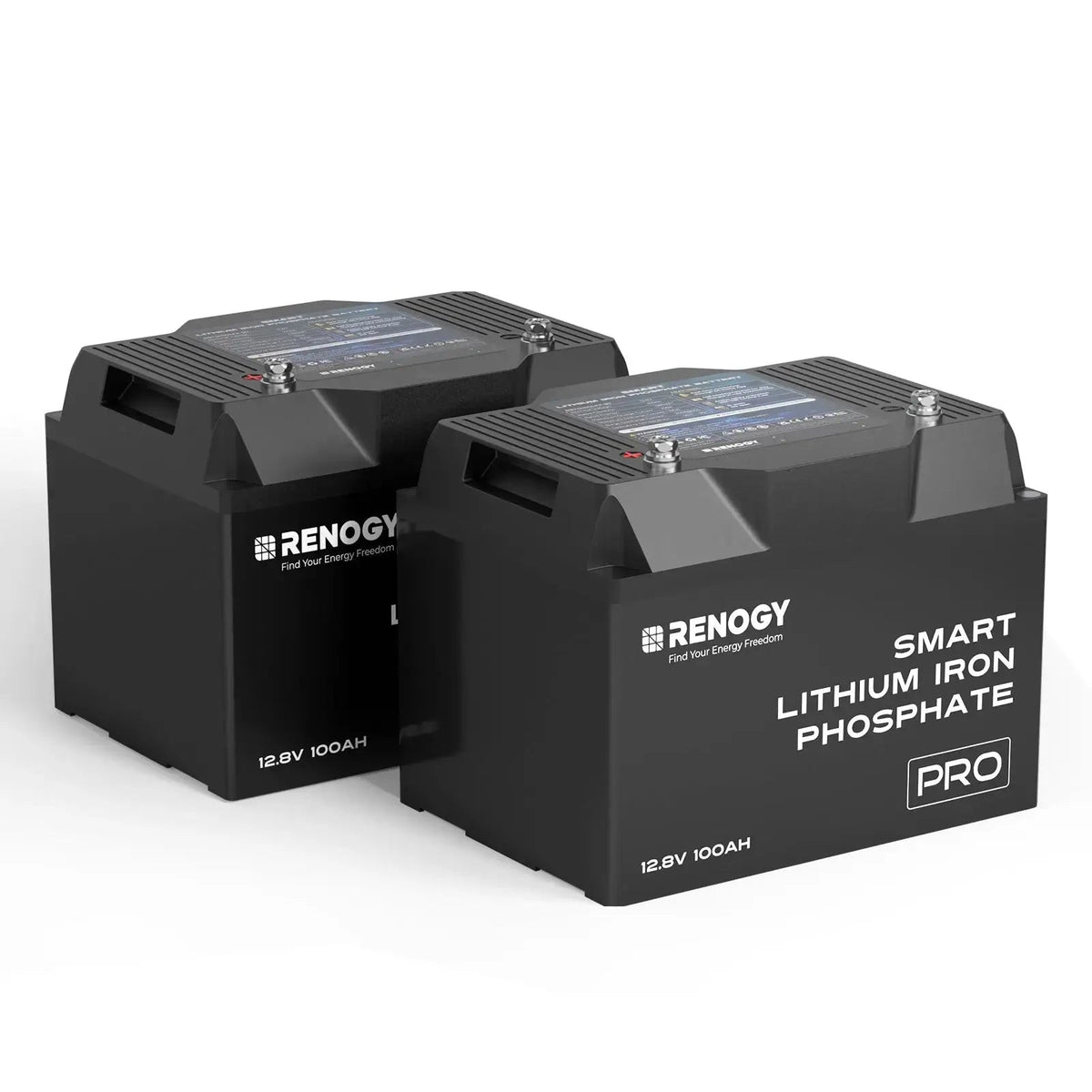 Renogy PRO 12V 100Ah Smart LiFePO4 Battery - view 3