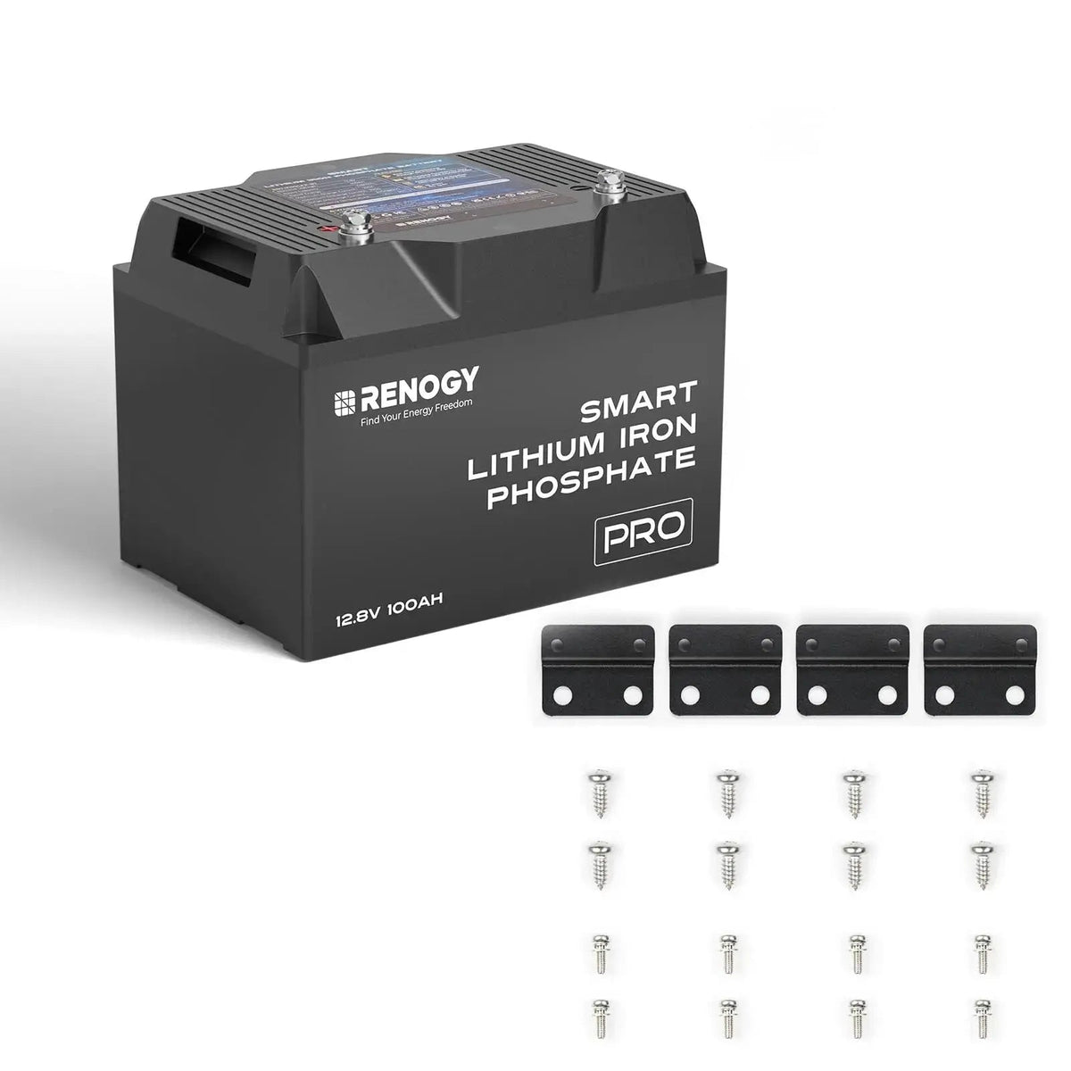 Renogy PRO 12V 100Ah Smart LiFePO4 Battery - view 6
