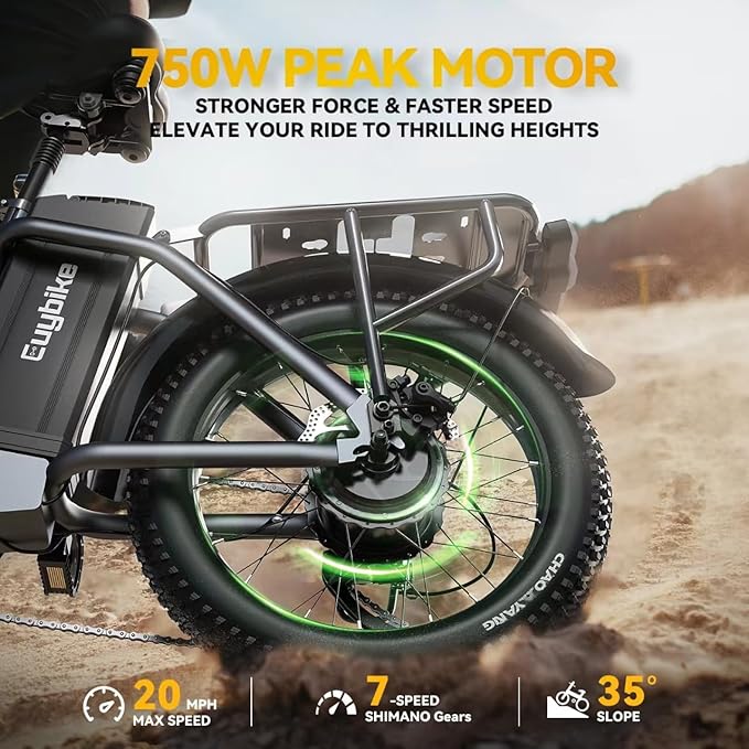 1000W Folding Electric Bike, 48V 20AH Large Removable Battery E Bike