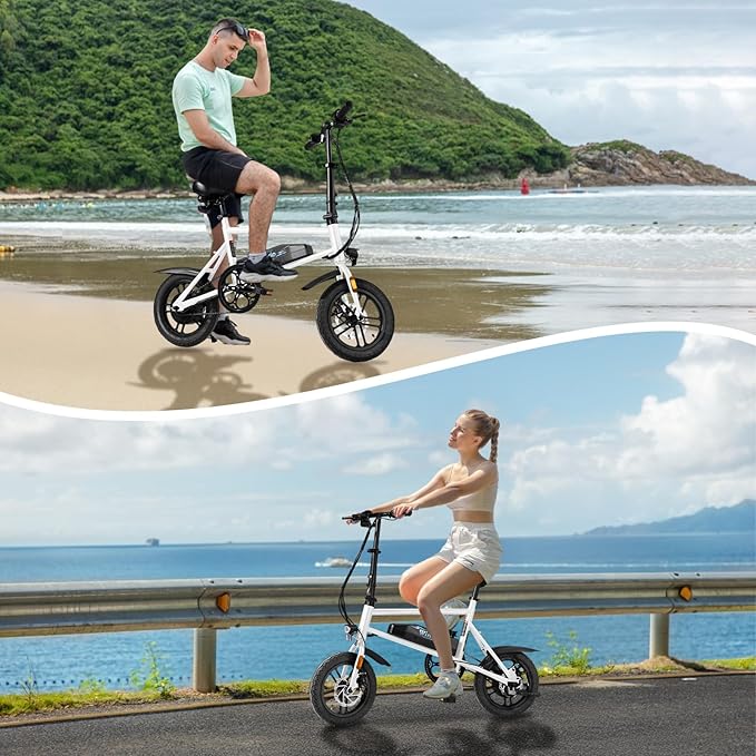 Winado Electric Bike for Adults, 14" Folding Electric Bicycle