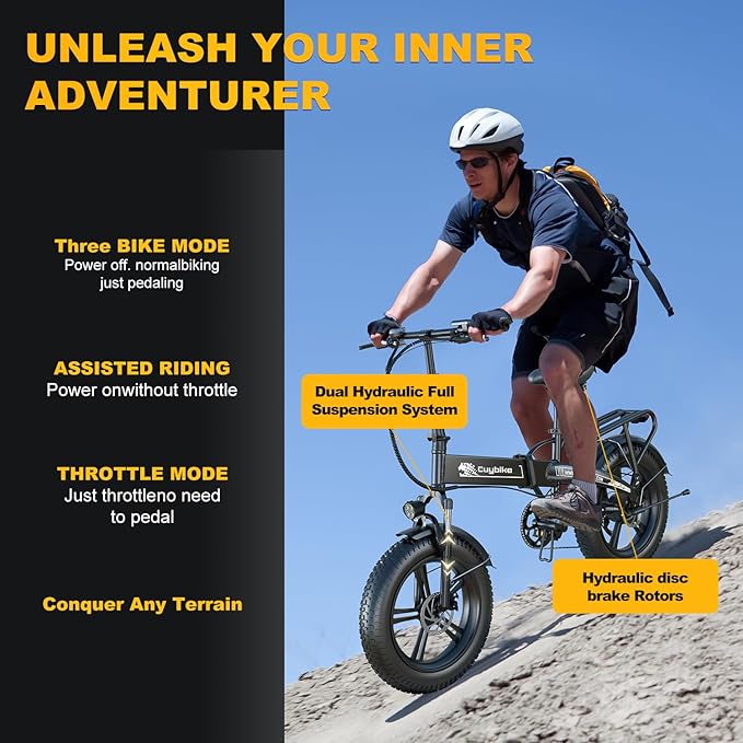 1000W Folding Electric Bike, 48V 20AH Large Removable Battery E Bike