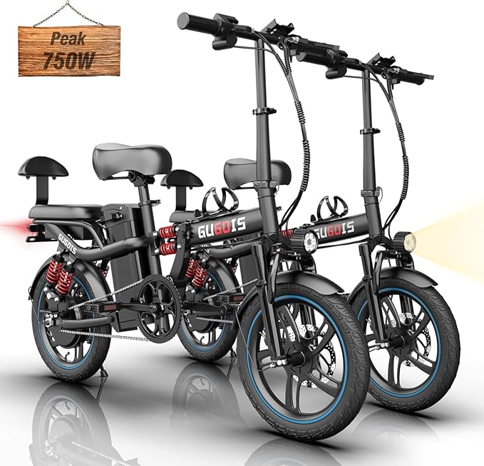 2 Seater Electric Bike for Adults,Mini Bike