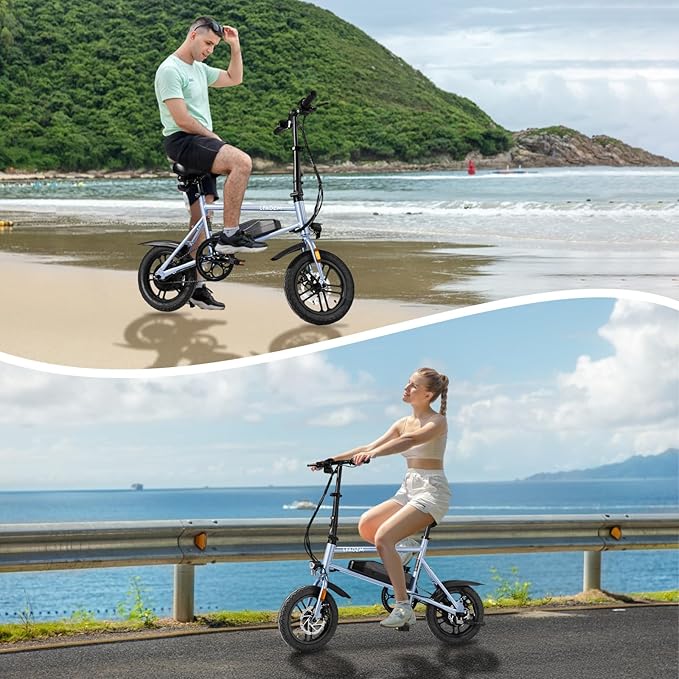 Winado Electric Bike for Adults, 14" Folding Electric Bicycle 450W Motor