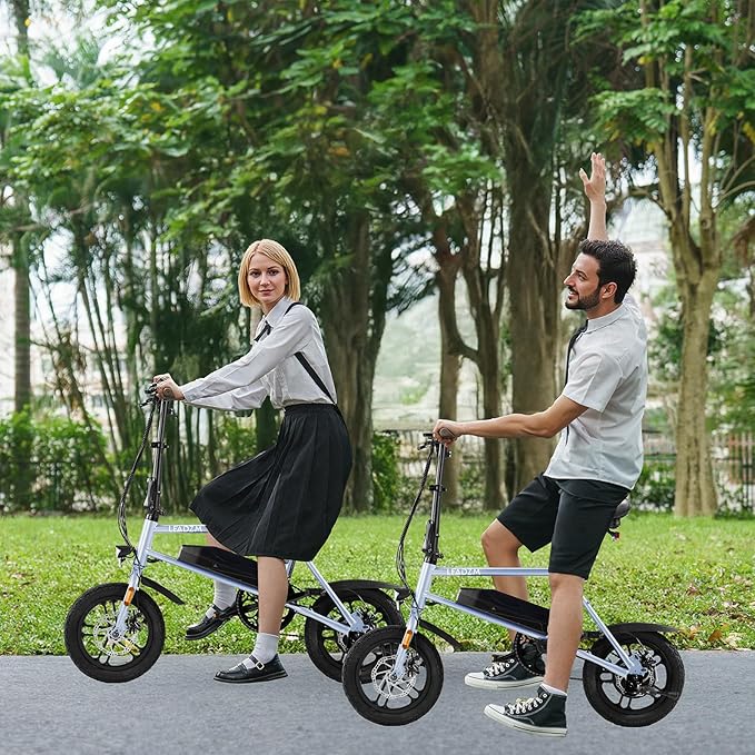 Winado Electric Bike for Adults, 14" Folding Electric Bicycle 450W Motor