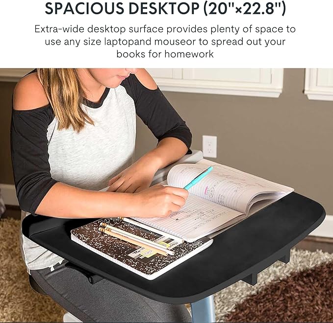 FLEXISPOT Exercise Bike with 2D Desktop