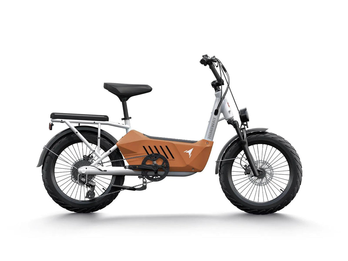Himiway C3 Cargo Electric Bike - view 2