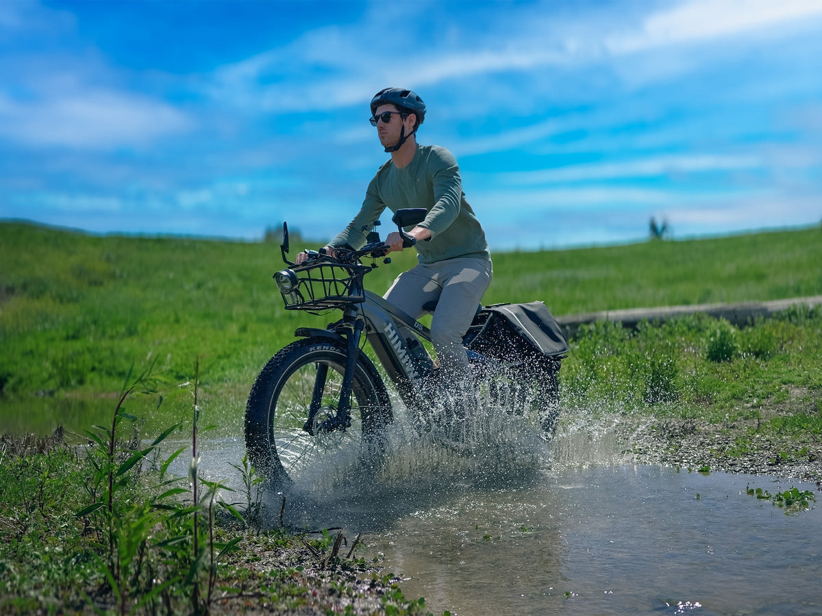 Himiway D5 All-Terrain Fat Tire E-Bike - view 4
