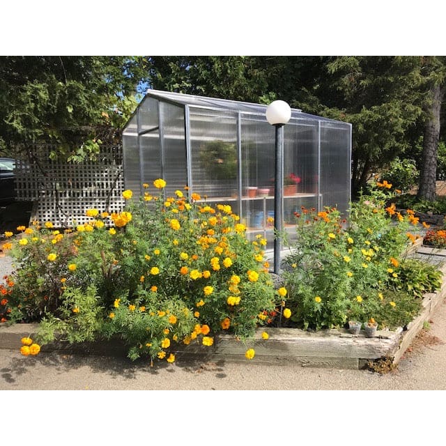Janco Palmetto 8 x 10 ft Aluminum Greenhouse Kit | Glass or Polycarbonate, 120 mph Wind Rating, Made in USA