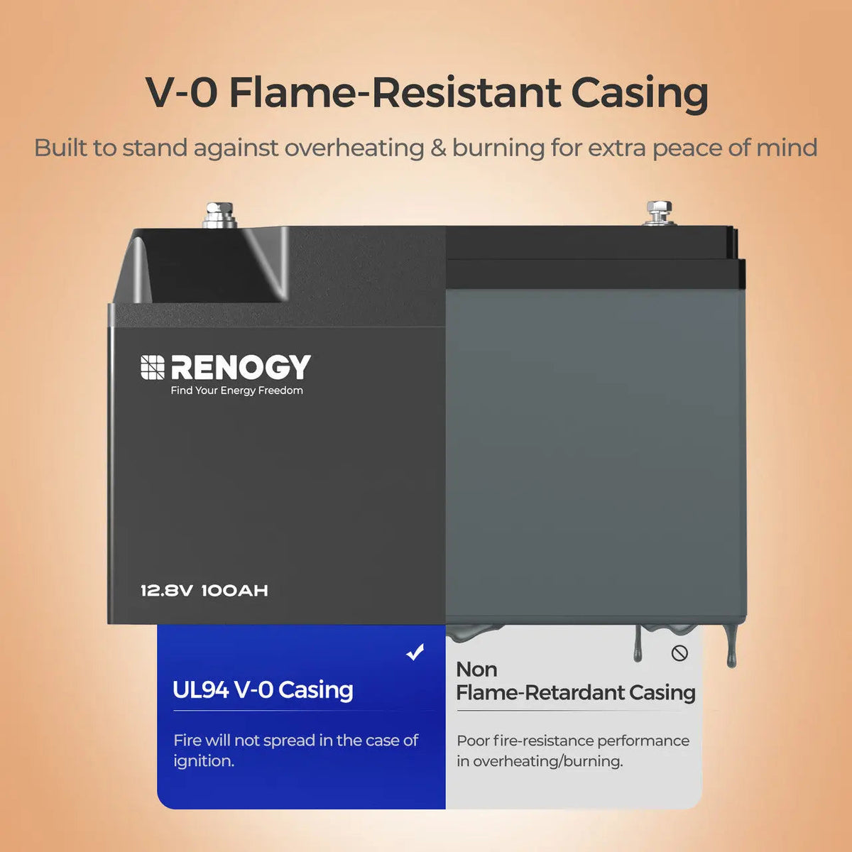 Renogy PRO 12V 100Ah Smart LiFePO4 Battery - view 10
