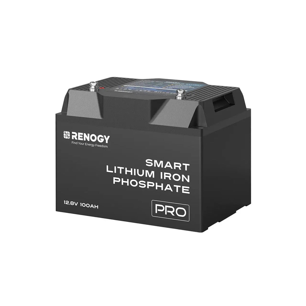 Renogy PRO 12V 100Ah Smart LiFePO4 Battery - view 13