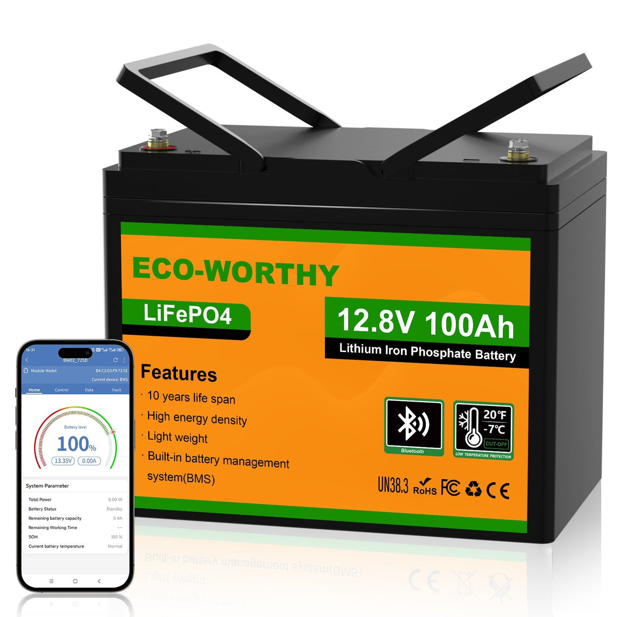 ECO-WORTHY 12V 100Ah LiFePO4 Battery with Bluetooth - view 1